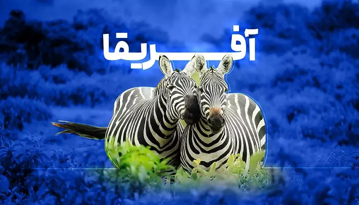 تور آفریقا الفبای سفر